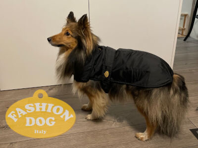 Titelbild Fashion Dog Hundemäntel