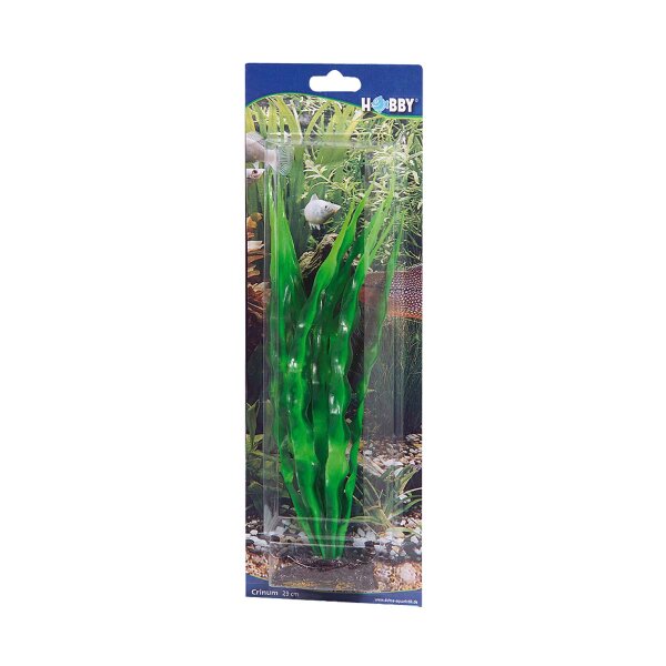 Hobby Crinum, 29 cm - künstliche Aquariumpflanze