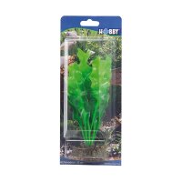 Hobby Echinodrus, 20 cm - künstliche Aquariumpflanze