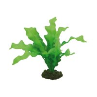 Hobby Echinodrus, 20 cm - künstliche Aquariumpflanze