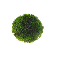 Hobby Plant Ball, 13 cm