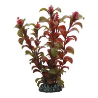 Hobby Rotala, 16 cm - Kunststoffpflanze für Aquarien