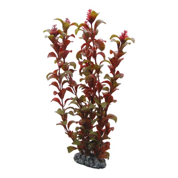 Hobby Rotala, 30 cm - Kunststoffpflanze für Aquarien
