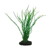 Hobby Sagittaria, 20 cm - künstliche Aquarienpflanze
