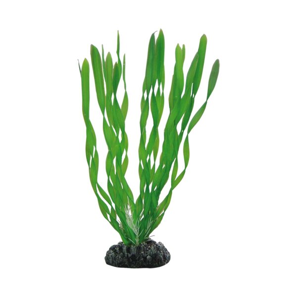 Hobby Vallisneria, 20 cm - Kunststoffpflanze für Aquarien