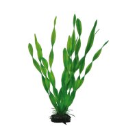 Hobby Vallisneria, 34 cm - Kunststoffpflanze für Aquarien