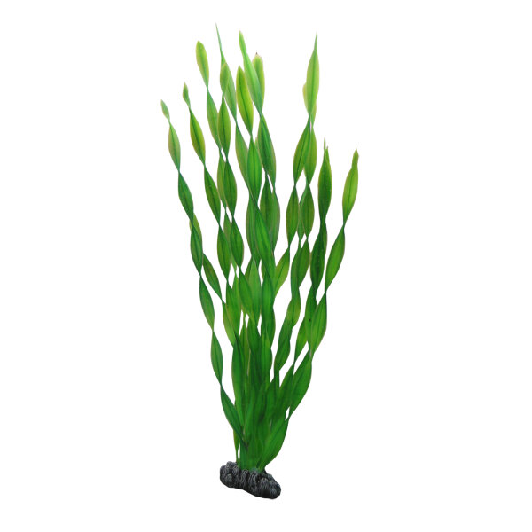 Hobby Vallisneria, 46 cm - Kunststoffpflanze für Aquarien