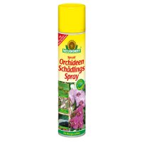 Neudorff Spruzit Orchideen Schädlingsspray 300 ml