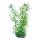 Hobby Heteranthera - 25 cm - künstliche Aquariumpflanze