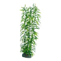 Hobby Heteranthera - 34 cm - künstliche Aquariumpflanze