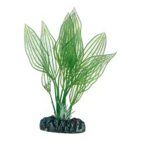 Hobby Aponogeton - 16 cm - künstliche Aquariumpflanze