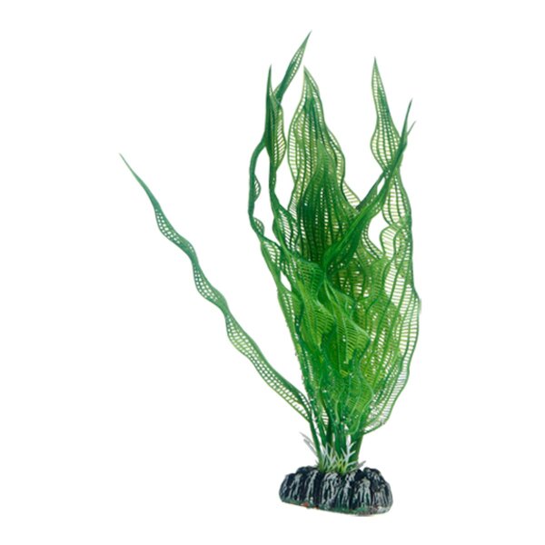 Hobby Aponogeton - 25 cm - künstliche Aquariumpflanze