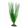Hobby Aponogeton - 39 cm - künstliche Aquariumpflanze
