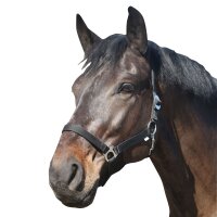 ELDORADO Pferde-Halfter standard - schwarz