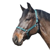 ELDORADO Pferde-Halfter standard - grün