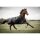 CATAGO Outdoordecke Justin für Pferde, 300g - schwarz