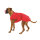 Fashion Dog Hundemantel speziell für Boxer - rot