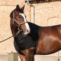 Catago Brustschutz für Pferde - Schwarz - Warmblut
