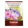 Chrysal Langzeitdünger für Rhododendron und Hortensien - 900 g