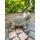 Betonfigur Schildkröte AMANDA - handgefertigte Dekoration für Garten und Haus
