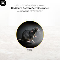 Set zur Rattenbekämpfung - Ratten Köderstation + Rodicum Getreideköder 600 g
