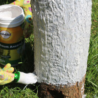Solabiol Baum Anstrich - 1,5 kg - Baumpflege, verhindert Frostrisse