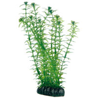 Hobby Plantasy Set 6 - enthält 9 künstliche Aquarienpflanzen