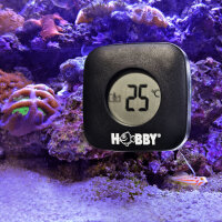 Hobby Clean Mag Thermo - Scheibenreiniger mit Thermometer für Aquarien