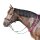 EQuest Beginner Balance Zügel, pink - 120 cm - hilft dem Pferd, das Gleichgewicht zu verbessern