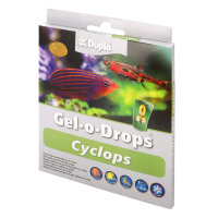 Dupla Zierfischfutter Gel-o-Drops Cyclops - 12x 2 g