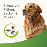 Beaphar - Zecken- und Flohschutz Spray für Hunde -...