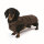 Fashion Dog Hundemantel speziell für Dackel - Braun