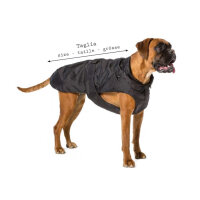 Fashion Dog eleganter Hundemantel speziell für Windhunde - Schwarz